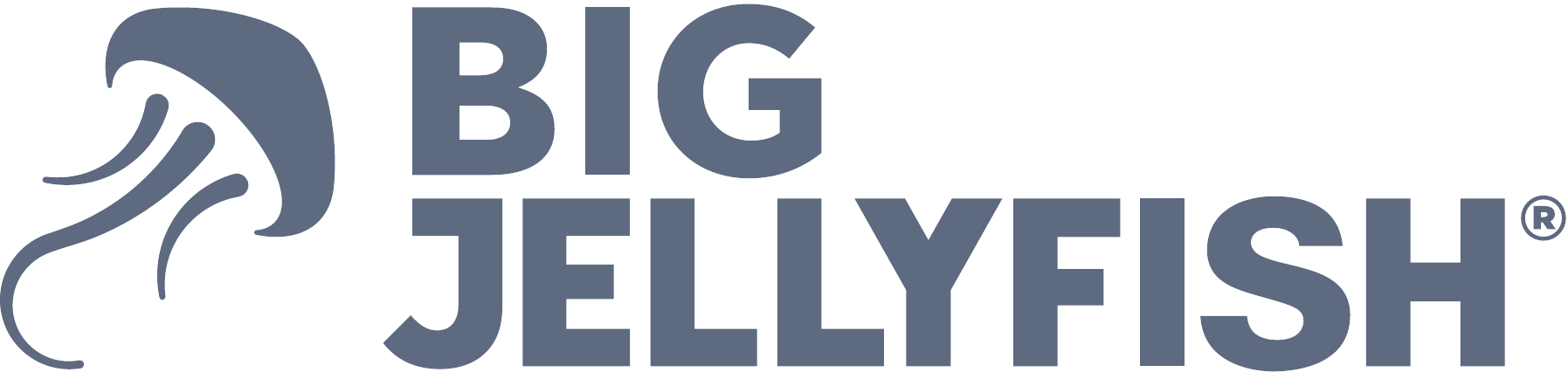 BIG JELLYFISH