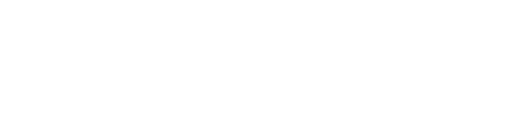 BIG JELLYFISH